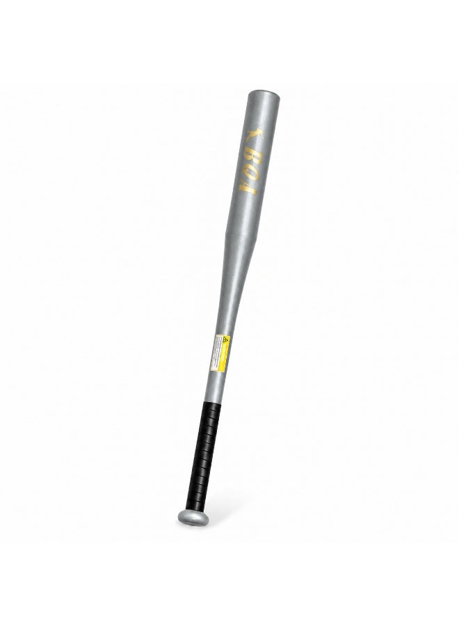 SportQ Metal baseball bat with a comfortable grip and a durable, sporty design. - Image 1