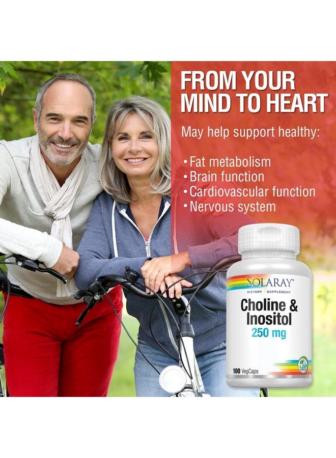SOLARAY Choline & Inositol 250 mg | Two-Nutrient Combo for Healthy Fat Metabolism, Brain Function Support | 100 VegCaps - Image 4
