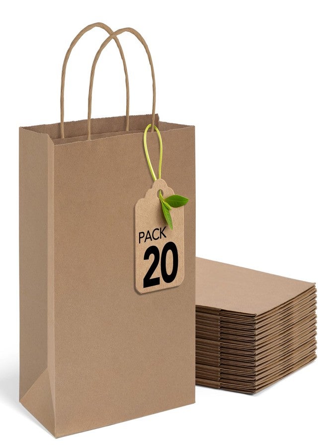 MESHA Brown Paper Bags 8x4.25x10.5 Inch 20Pcs, Paper Bags with Handles, Sturdy Brown Gift Bags for Retail, Birthday Party Favors, Shopping, Small Business - Image 1