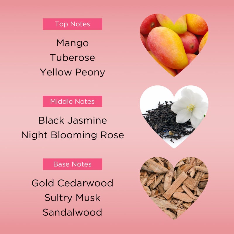 BEBE by Bebe EAU DE PARFUM SPRAY 3.4 OZ - Image 3