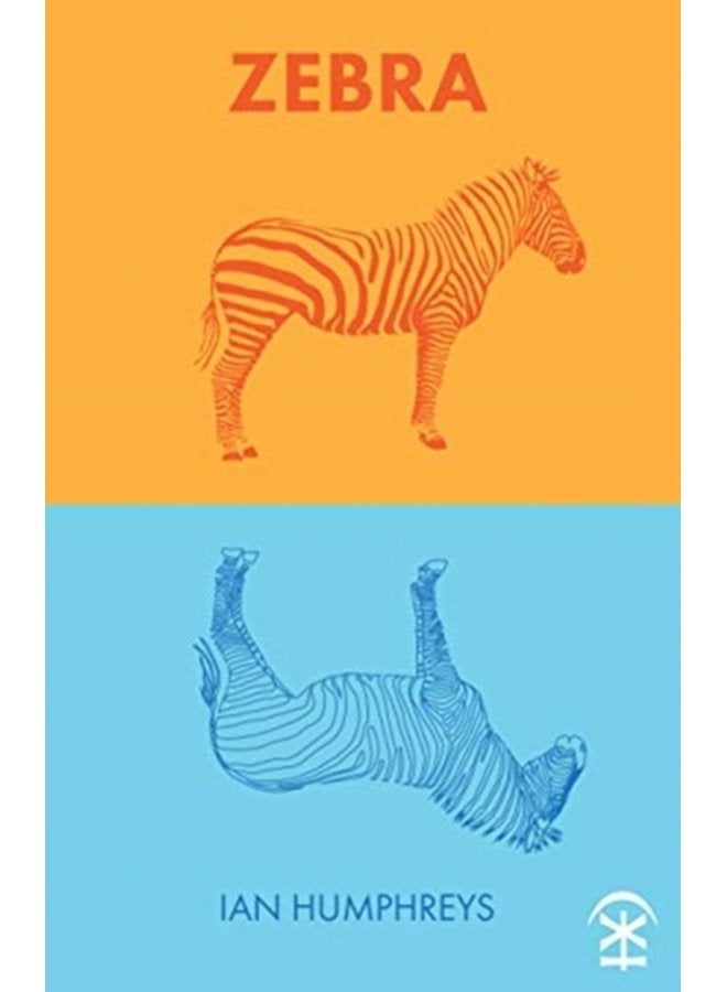 Zebra - Paperback