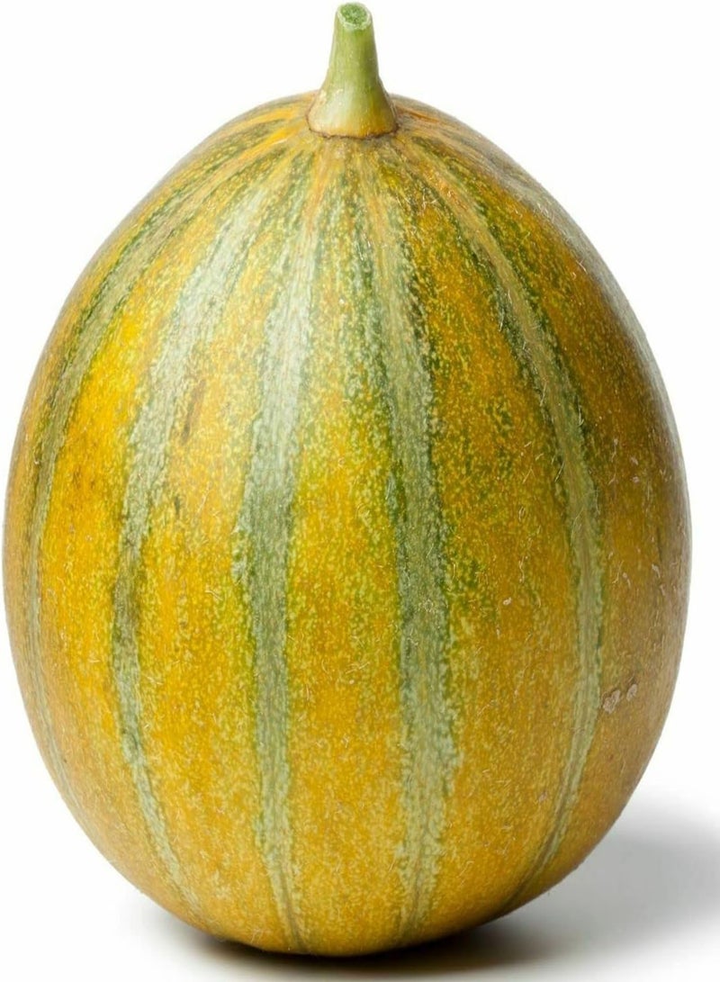 GGOOT Ogen Melon - Cucumis melo 'Ogen' Vegetable Seeds, Also Known as Ha'Ogen Home Garden Planting by Heavy Torch, 5 Seeds