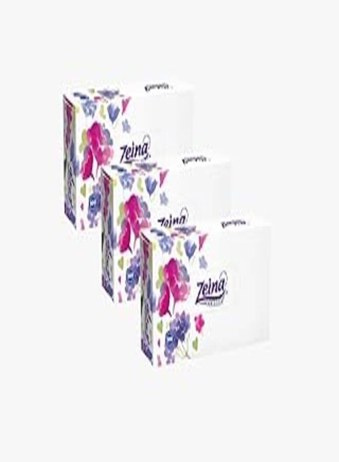 Zeina Zeina 300 tissues box summer edition set of 3 - multi color
