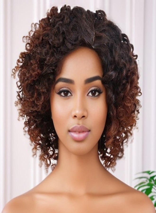 GNIMEGIL Ombre Brown Afro Wigs 70s For Women Short Curly Wig With Side Bangs Synthetic Natural Hair African American Wigs For Black Women Afro Curly V Part Wig Highlights Braided - Image 1