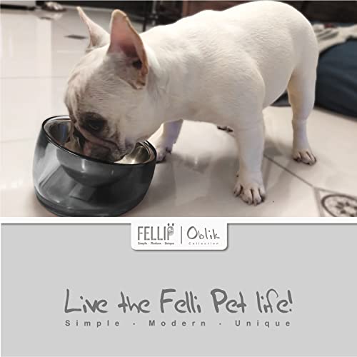 Felli Pet Oblik Spill Proof Dog Food Water Bowl Raised Acrylic Cone, Stainless Steel Tilted Oval Dish Pet Friendly, Slanted Metal Plate Feeder Elevated for Small Medium Size Dog (1.5Cup, Smoky) - Image 2