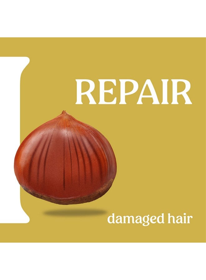 ITÍNERA Instant Protection Conditioner With Tuscan Hills Chestnut (12.51 Fl Oz) For Damaged Hair Vegan Friendly 96% Natural Origin Ingredients - Image 4