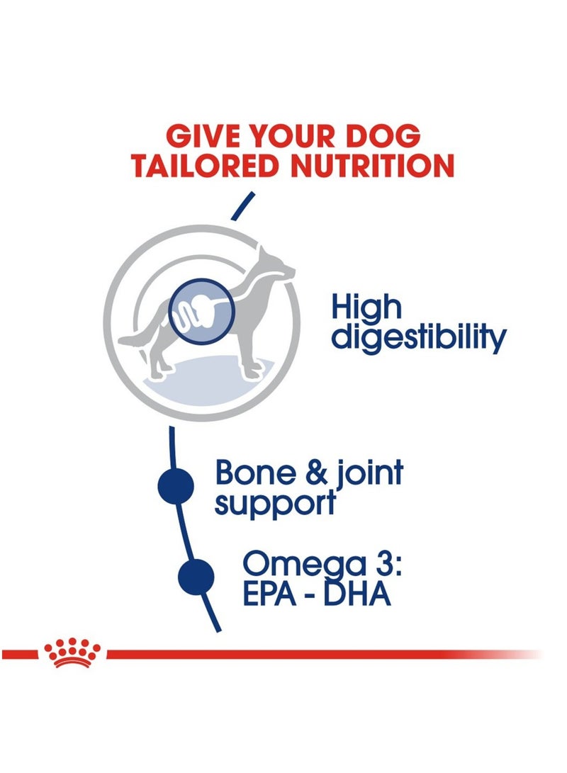 رويال كانين طعام جاف للكلاب البالغة ماكسي 15 كجم - Image 5