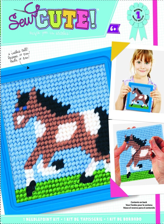 Colorbok مجموعة خياطة إبرة الحصان Colorbok Q2342A، 6 إنش × 6 إنش، إطار أزرق - Image 1