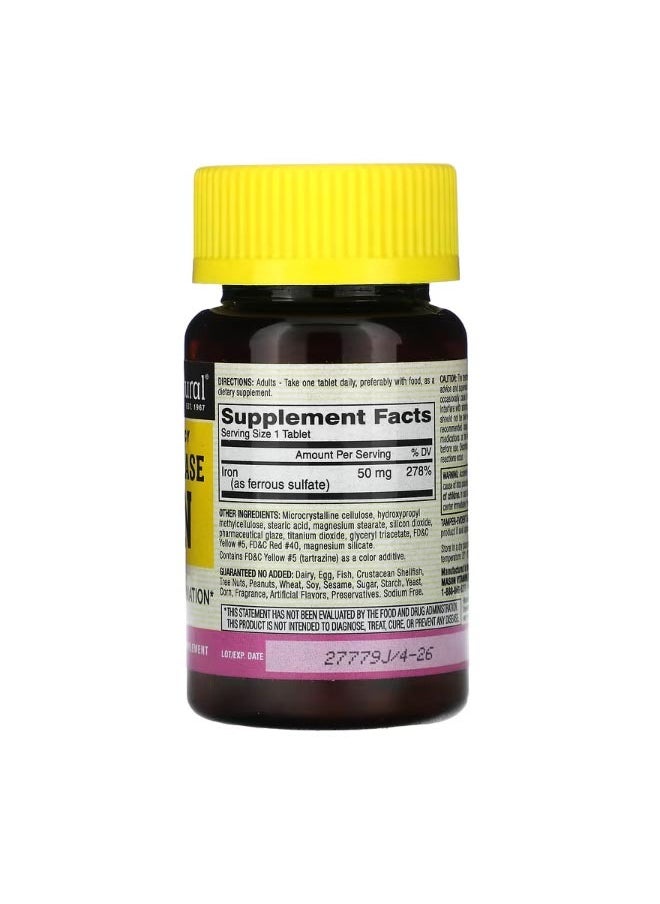 Mason Natural Slow Release Iron High Potency 60 Tablets  - Image 2