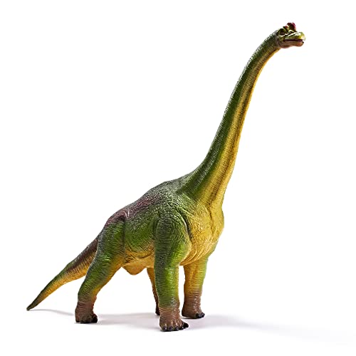 RECUR Jumbo Brachiosaurus Toys Large 205 Jurassic Toys Dinosaur Figure Toy Safe Odorless HandPainted Figurines for Kids Realistic Design Replica Ideal Collectors Gift Ages 3 - Image 1