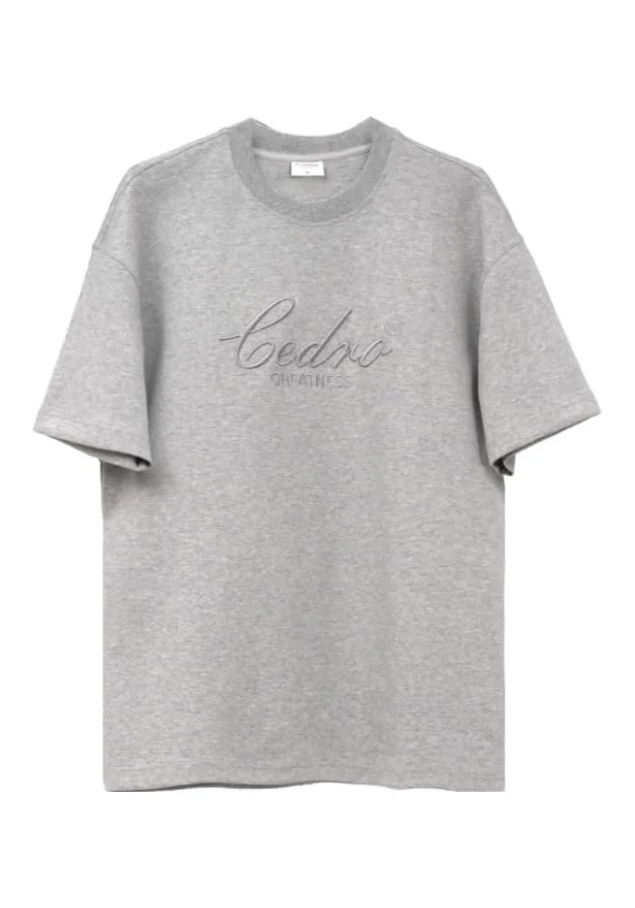 سيدرو Cedro Oversized Logo T-Shirt & Trackpants set in Grey for Men