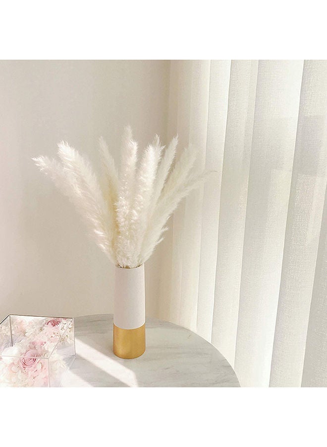 FANCY FLOWERS زهور مجففة طبيعية فاخرة من عشب البامباس الأصلي - طويل ورقيق للغاية - زهور صناعية مجففة (40) - Image 4