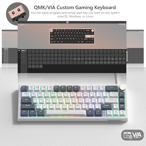 Womier لوحة مفاتيح الألعاب وومير VK66 PRO 60% سلكية، لوحة مفاتيح ميكانيكية كريمية QMK/VIA، لوحة مفاتيح RGB قابلة للتبديل مع قاعدة ومفاتيح شفافة (بيضاء) - Image 2