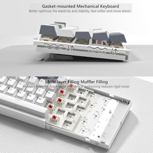 Womier لوحة مفاتيح الألعاب وومير VK66 PRO 60% سلكية، لوحة مفاتيح ميكانيكية كريمية QMK/VIA، لوحة مفاتيح RGB قابلة للتبديل مع قاعدة ومفاتيح شفافة (بيضاء) - Image 4