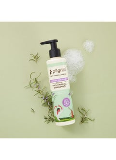 PILGRIM Spanish Rosemary & Biotin Anti Hairfall Shampoo For Reducing Hair Loss & Breakage Upto 95% Stronger Hairs Suitable For All Hair Types For Men & Women 200Ml  - Image 2