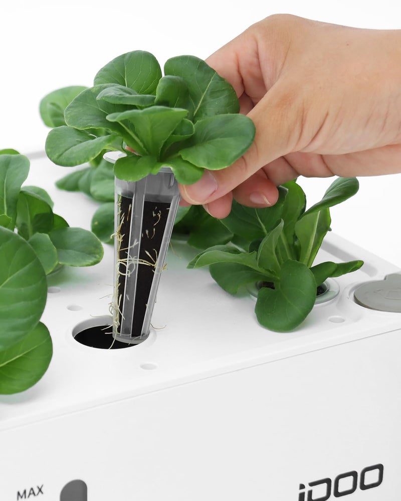 iDOO Seed Pods kit for Hydroponics System, with 12 Growth Sponges, 12 Grow Baskets, 12 Pod Labels, 12 Grow Domes, 2 Plant Food, Compatible with All Brands of Hydroponics Supplies - Image 4
