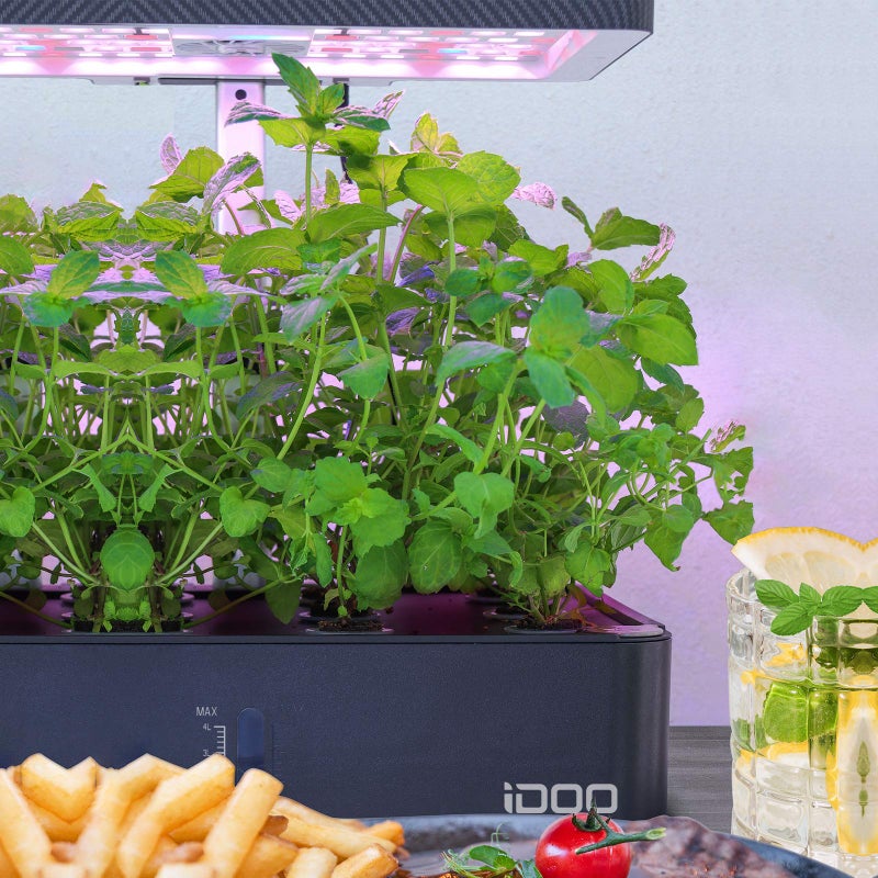 iDOO Seed Pods kit for Hydroponics System, with 12 Growth Sponges, 12 Grow Baskets, 12 Pod Labels, 12 Grow Domes, 2 Plant Food, Compatible with All Brands of Hydroponics Supplies - Image 2