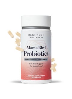 Best Nest Wellness Mama Bird Probiotics Prenatal Postnatal Fertility Women Digestive Health 50 Billion Cfu 15 Strains Patented Time Released Capsules Once Daily Probiotic Supplement 30 Ct  - Image 1