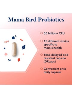 Best Nest Wellness Mama Bird Probiotics Prenatal Postnatal Fertility Women Digestive Health 50 Billion Cfu 15 Strains Patented Time Released Capsules Once Daily Probiotic Supplement 30 Ct  - Image 5