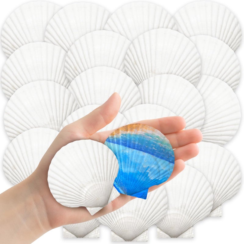 YUJUN 32PCS Natural Scallop Shells,2''-3'' White Seashells Bulk for Crafts DIY Painting Baking and Ocean Summer Beach Wedding Home Decorations - Image 1