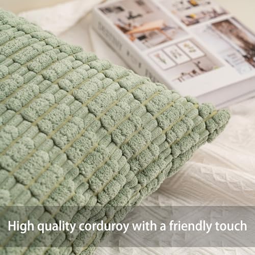 Aegero Pack of 2 Corduroy Decorative Throw Pillow Covers 18x18 InchSoft Boho Striped Pillow Covers Modern Farmhouse Home Decor for Sofa Living Room Couch BedSage Green - Image 3