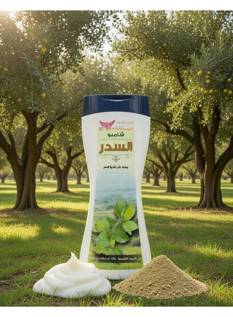 Kuwait Shop Sidr Shampoo Helps to Nourish Hair - 450 ml - Image 5