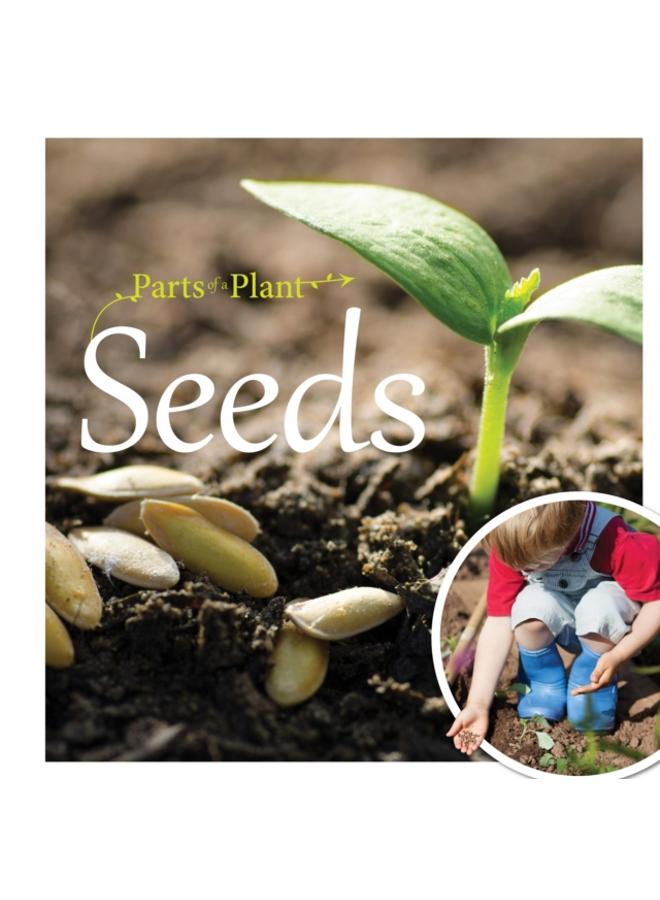 Seeds 