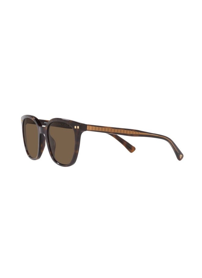Brooks Brothers - Mens Bb5046 Square Sunglasses Warm Havana Brown 53 Mm - Image 1