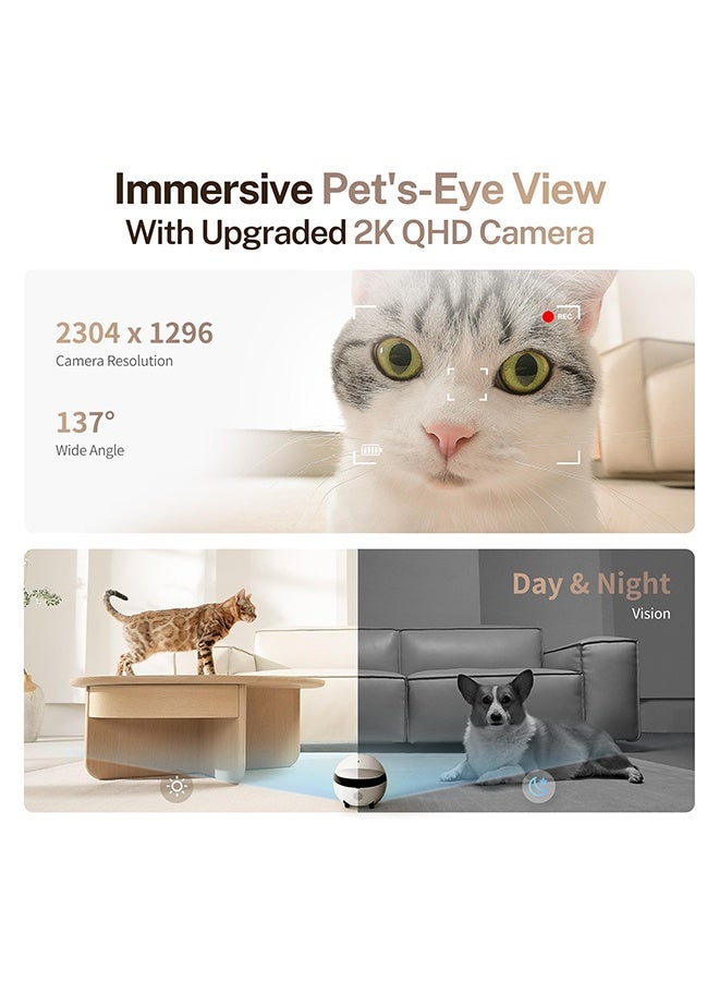 Enabot  2K Camera Robot ROLA Mini: Movable Pet Camera Battery-Powered with Phone App, Indoor Cam w/One-Touch Call, 2-Way Talk, Night Vision, Motion Detection, Video Recording - Image 4