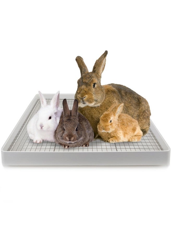 Oncpcare 22x18 Super Large Rabbit Litter Box with 2 Grates (Metal & Plastic), Bunny Litter Tray for Cage, Small Animal Potty Training for Adult Rabbit Flemish Giant Rabbits - Image 1