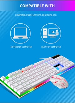 FPC Rainbow Backlit Wired Keyboard and Mouse,Floating Keycap Strong, Wear-resistant, Comfortable Feel Keyboard for Business Office  - Image 4