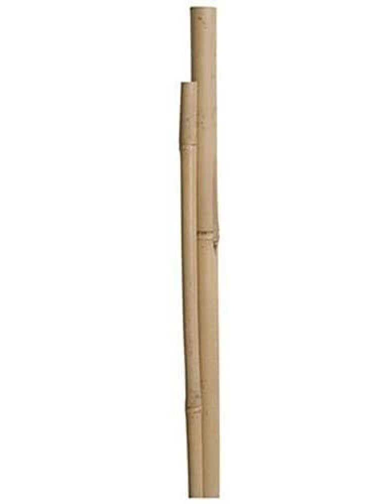 LINGWEI 10 pcs Natural Thick Bamboo Stake  - Image 1