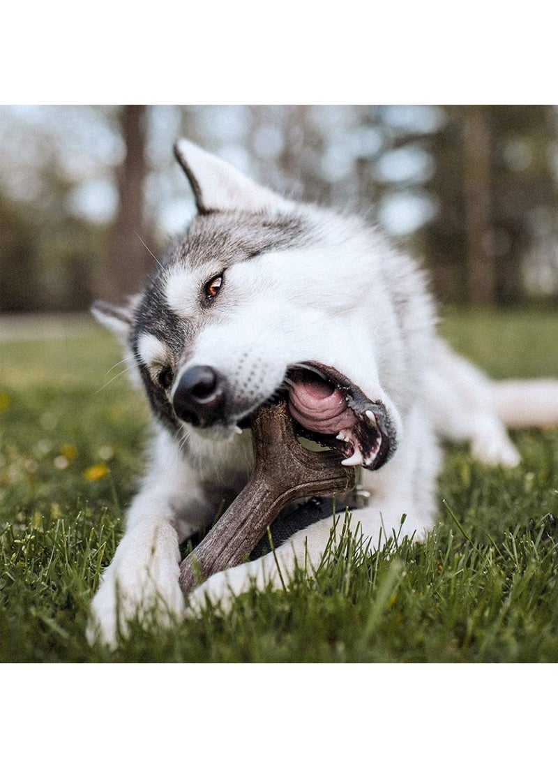 Benebone Maplestick Chew Dog Toy - Image 3