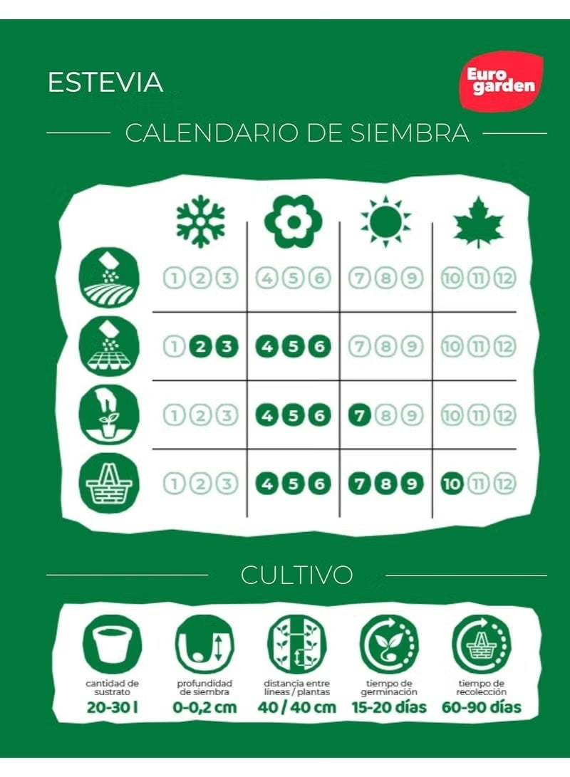 Fito Semillas Stevia Seeds - Image 2