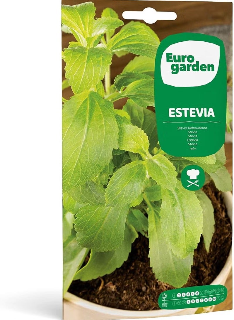 Fito Semillas Stevia Seeds - Image 1