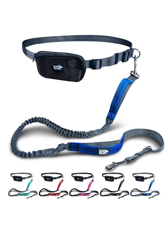 Black Rhino - Black Rhino - Premium Hands Free Dog Leash for Running Walking Jogging & Hiking - Adjustable Length Dual Handle Bungee Leash Medium-Large Dogs Neoprene Padded Handles - Free Running Pouch Blue/Gr - Image 1