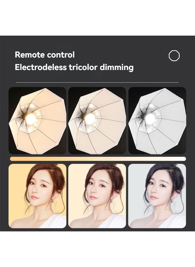 كيبول طقم إضاءة تصوير فوتوغرافي Softbox، طقم إضاءة Softbox احترافي 70×70 سم بمقبس E27 بقوة 200 واط، طقم إضاءة مستمرة للصور الشخصية والتصوير الإعلاني وتسجيل الفيديو - Image 4