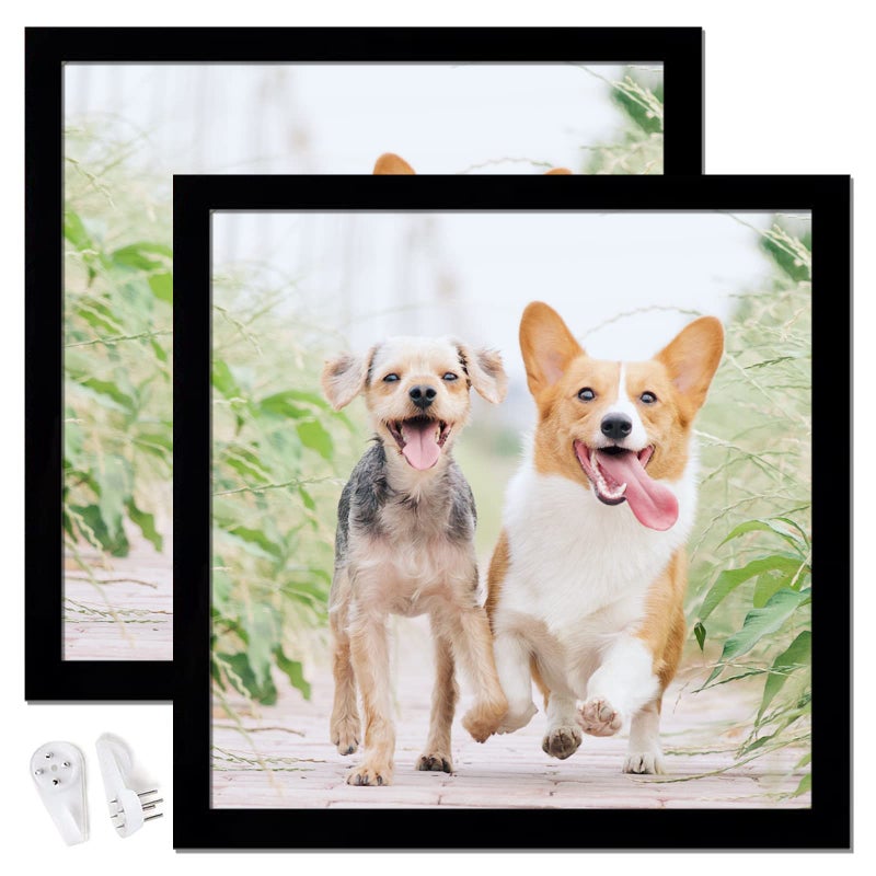 icariery 10x10 Picture Frame Set of 2 Black Square Photo Frames High Transparent Wall Gallery Desktop Horizontal Vertical for Canvas Collage Photo Poster Certificate 10 x 10 inches