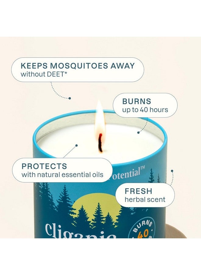 Cliganic Cliganic Natural Mosquito Repellent Candle (9oz, Pack of 2) | Citronella, DEET Free, Essential Oil Infused for Outdoor, Camping | Burns 40 Hours  - Image 3