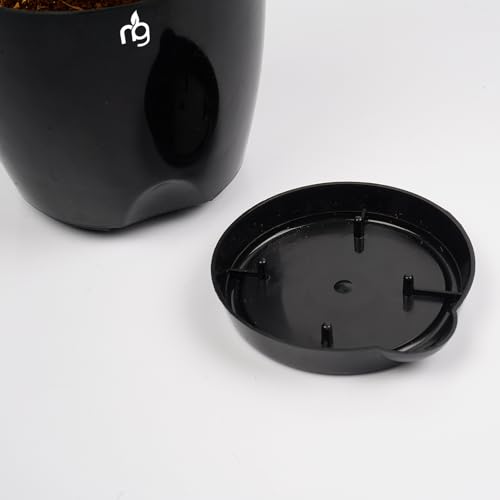 Nurturing Green® Combo of 8 Self Watering Flower Pots for Plants | Plastic Plant Pots | Planter Pots for Home, Indoor Living Room,Garden (Color: Black, Size: 11.5cm x 11cm Each) - Image 3
