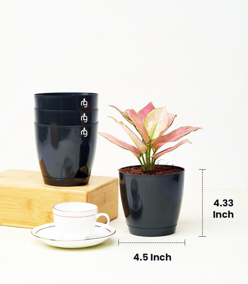 Nurturing Green® Combo of 8 Self Watering Flower Pots for Plants | Plastic Plant Pots | Planter Pots for Home, Indoor Living Room,Garden (Color: Black, Size: 11.5cm x 11cm Each) - Image 4