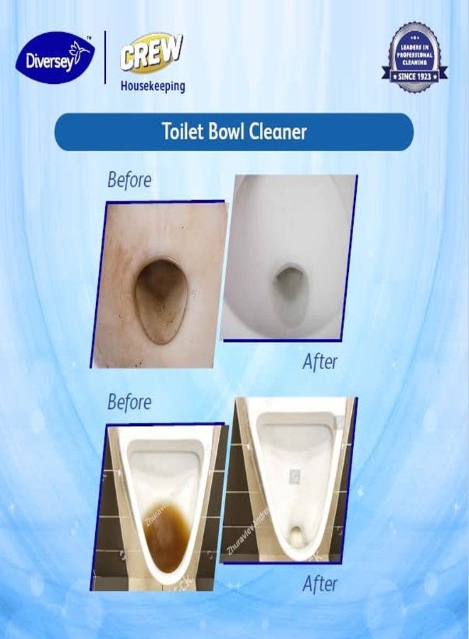 CREW Diversey Crew Crew Toilet Bowl Cleaner 1 Ltr - Image 5