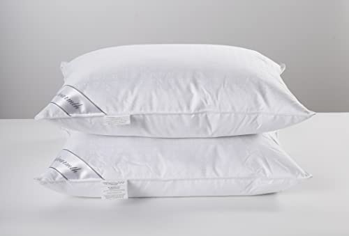 Eastwarmth وسائد زوج من ريش الإوز الطبيعي من إيست وورمث مجموعة من 2 وسائد ناعمة 100 قطن ناعم كوين 20x30 بوصة