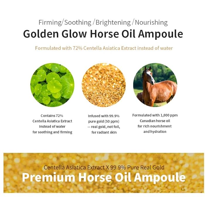 CHARMZONE Mayu Horse Oil Ampoule Golden Complex, Korean Beauty Skin Care Intense Face Moisturizer Nourishing Wrinkle Improvement Gift for All Skin Types (100 ml/3.38 fl.oz) - Image 2