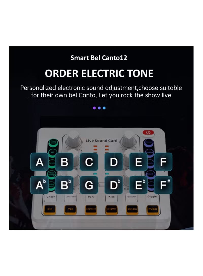 Live Sound Card, Mini Audio Mixer Board for PC Computer Phone, Voice Changer Sound Card Fit for PS4, Xbox, Switch, DJ Mixer, Podcast for Music Recording Karaoke Singing Broadcast, Recording Card - Image 5