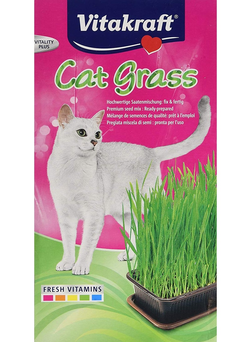 فيتاكرافت عشب القطط للزراعة في تربة الأصيص 120 جرام - Image 1