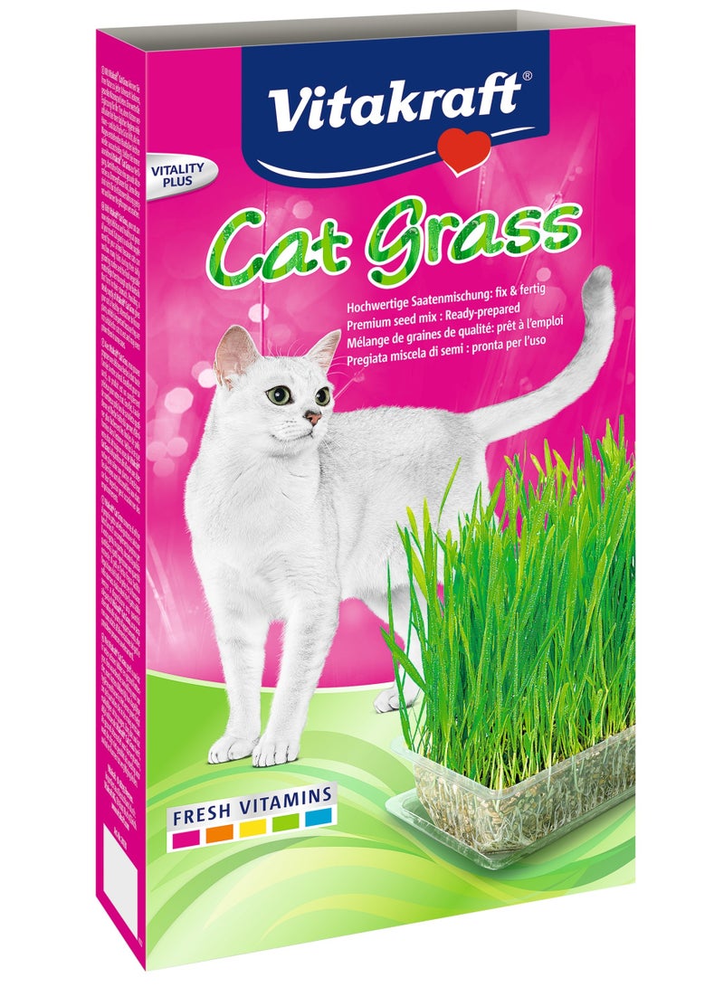 فيتاكرافت عشب القطط للزراعة في تربة الأصيص 120 جرام - Image 3