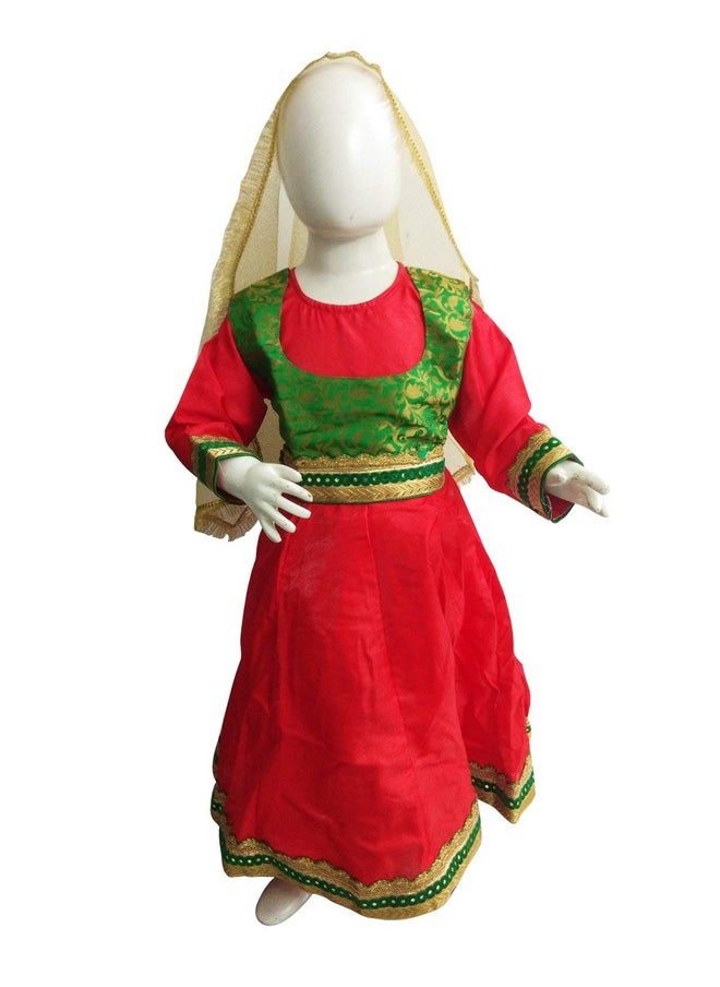 بوك ماي كوستيوم زي رقصة الكاثاك الهندية الكلاسيكية من BookMyCostume للبنات والسيدات | بدون مجوهرات، من عمر ١٤ إلى ١٦ عامًا/للبالغين  - Image 1