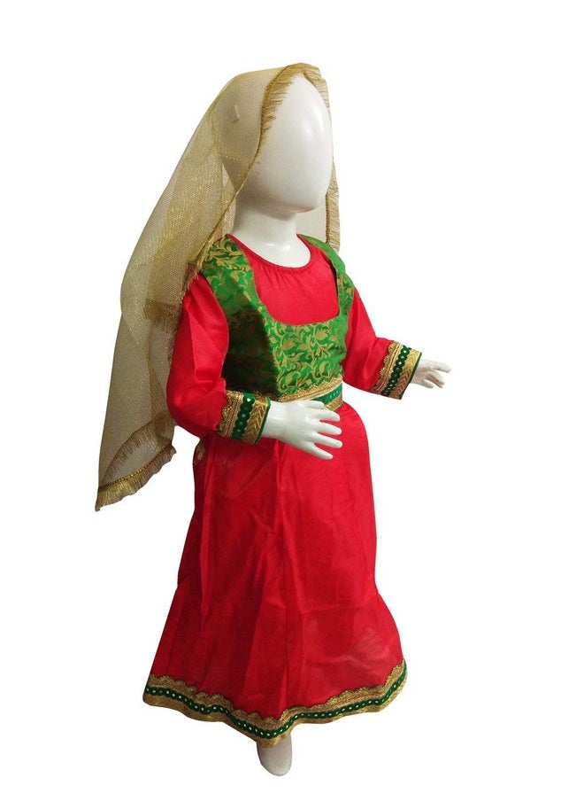 بوك ماي كوستيوم زي رقصة الكاثاك الهندية الكلاسيكية من BookMyCostume للبنات والسيدات | بدون مجوهرات، من عمر ١٤ إلى ١٦ عامًا/للبالغين  - Image 4