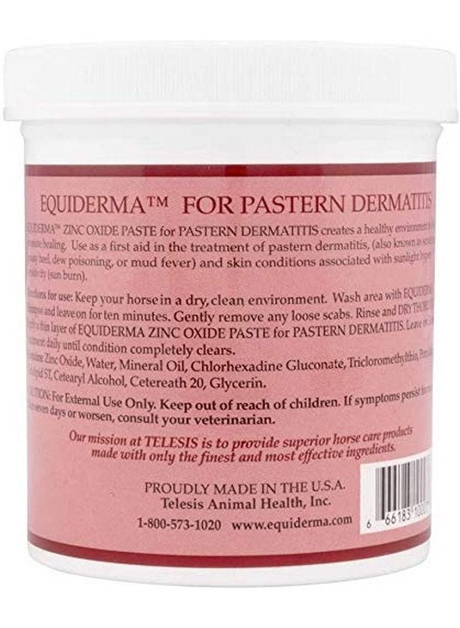 EQUIDERMA (2 Pack) Horse Skin Lotion and Zinc Oxide Paste 16oz with 10ct pet Wipes - Image 4